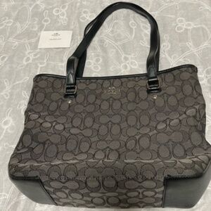 Coach Bag (Black)